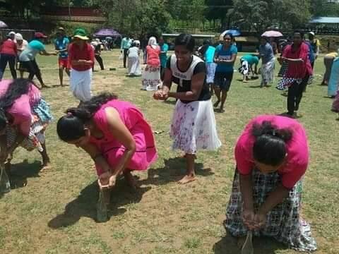 එරබදු වසන්තය 
